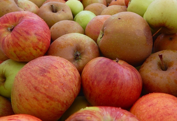 Apfelsorten für Allergiker