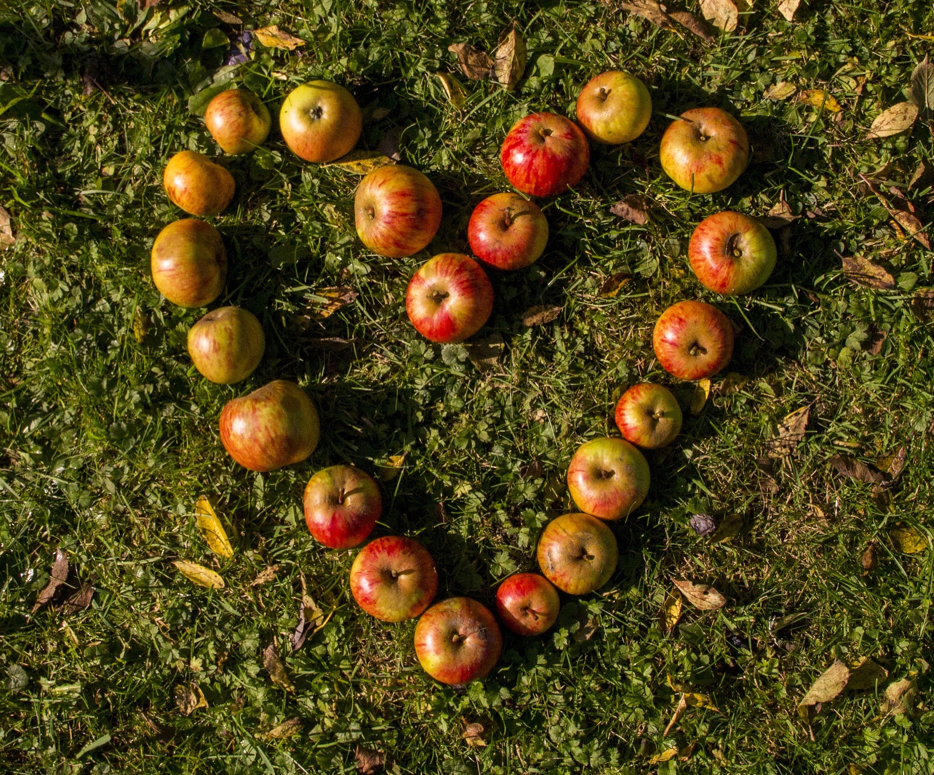Wie schreiben - Herz aus Äpfeln