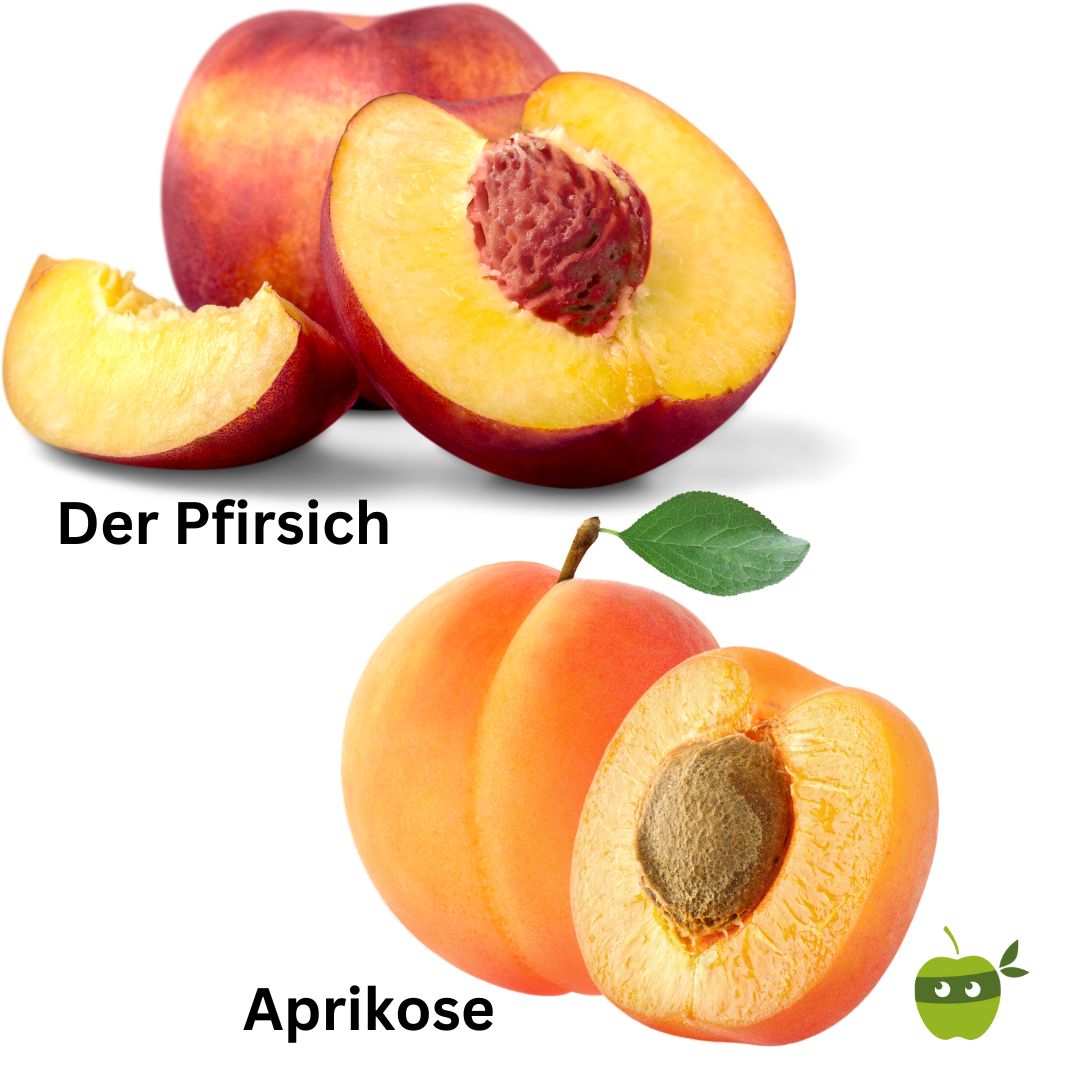 Aprikose und Pfirsich