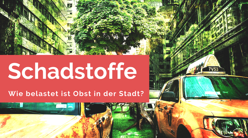 Schadstoffe im Straßenobst